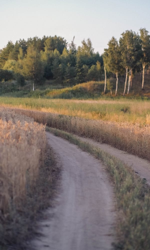 Road to your future with an LPA